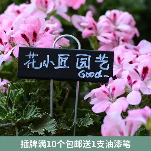 花百事金属植物标签插牌高颜值