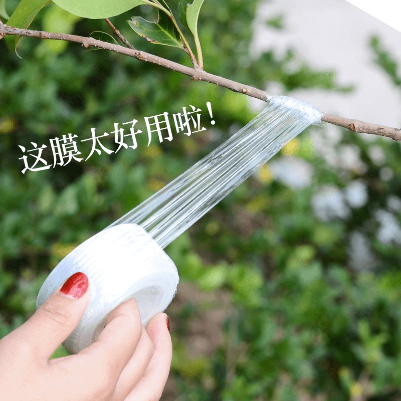 嫁接膜果树嫁接专用膜自粘式嫁接膜嫁接树带pe塑料苗木植物嫁接膜