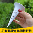 花盆土壤透气通风管加长款 盆景大花盆通风神器通气管防烂根排气管