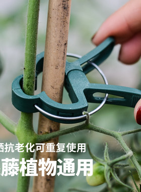 花百事大号植物固定夹扣女花友用