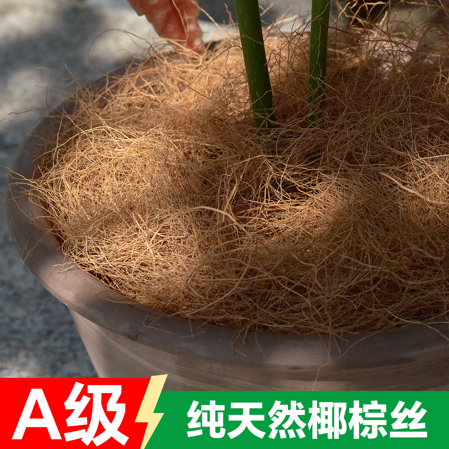 花百事花盆表面土壤覆盖铺面椰丝