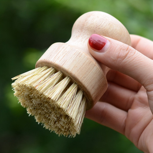花百事植物修根根刷上盆工具