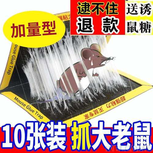 Strong stick mouse board mouse stick mouse trap mouse trap