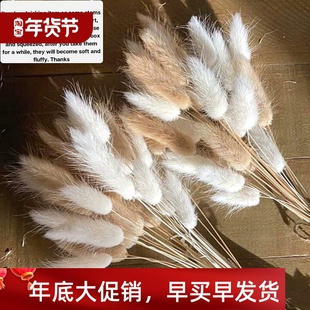 Grass Lagurus Cake Home Decor Pampas Tails Bunny Mix 60Pcs
