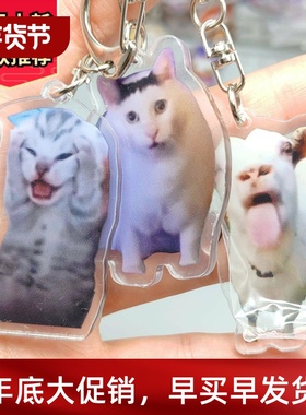 24Rambling Goat Huh Cat Meme Keychain Confused Cat Memes Cat