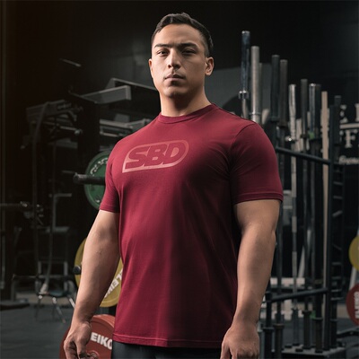 sbd火凤凰限定配色男女款圆领t恤