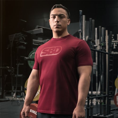 sbd火凤凰限定配色男女款圆领t恤