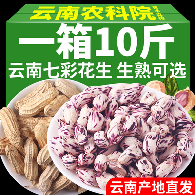 新货云南七彩花生带壳生的原味炒熟普洱特产老品种五彩花生米