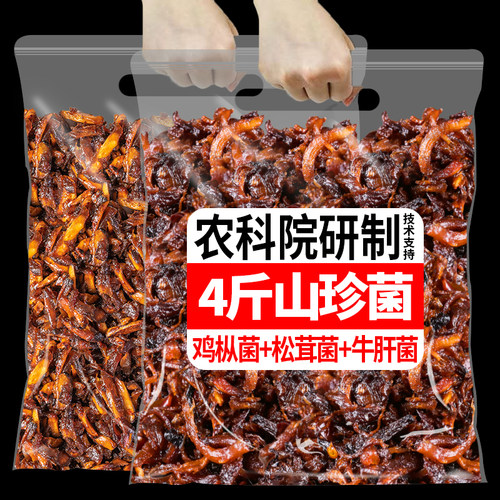 油鸡枞菌松茸菌云南特产批发