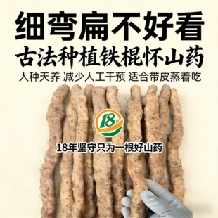 弯曲扁丑怀山药焦作温县垆土地铁棍山药净重5斤自然生长药食同源