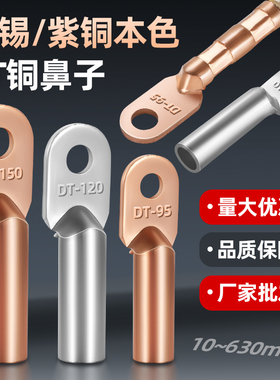 DT铜鼻子铜接头紫铜线鼻电缆线耳10/16/25/35/70镀锡堵油接线端子