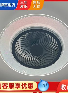 风扇灯风扇灯客厅灯具松下