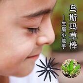 新疆奥斯曼植物乌斯玛草眉棒眉笔眉睫毛眉液乌斯曼
