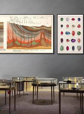 矿物化石装饰画珠宝店奇石馆文玩店挂画博物馆展厅奢侈品专柜壁画