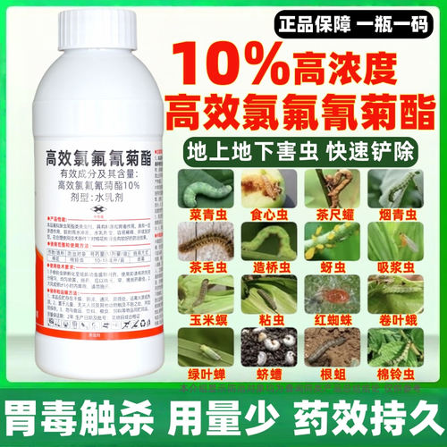 10%高效氯氟氰菊酯杀虫剂