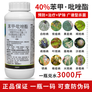 40%苯甲吡唑酯高效低毒杀菌剂