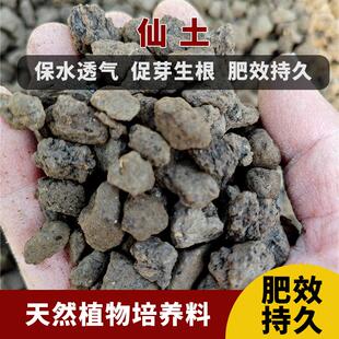 峨眉山仙土 颗粒兰花土兰花铺面君子兰蝴蝶兰 营养土透气促根壮苗