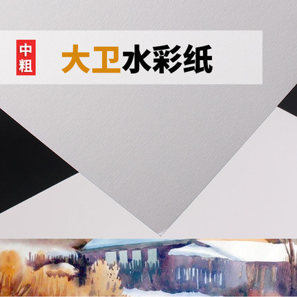 大卫300g水彩纸4K 8K中粗绘画纸20张/袋