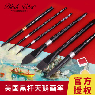 美国黑天鹅Black Velvet松鼠毛水彩笔圆头猫舌笔8号6号2号动物毛