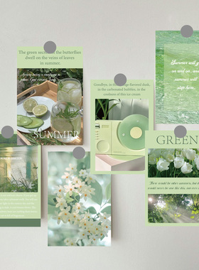 ins风装饰卡片纸浪漫郁金香绿色小清新文艺风房间拍照背景墙贴纸