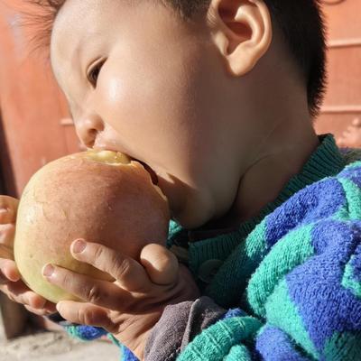 大沙河新鲜当应季10斤红富士苹果