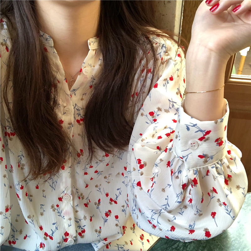 Autumn dress floral top loose Korean version vertical sense Chiffon V-neck casual long sleeve shirt women's design sense