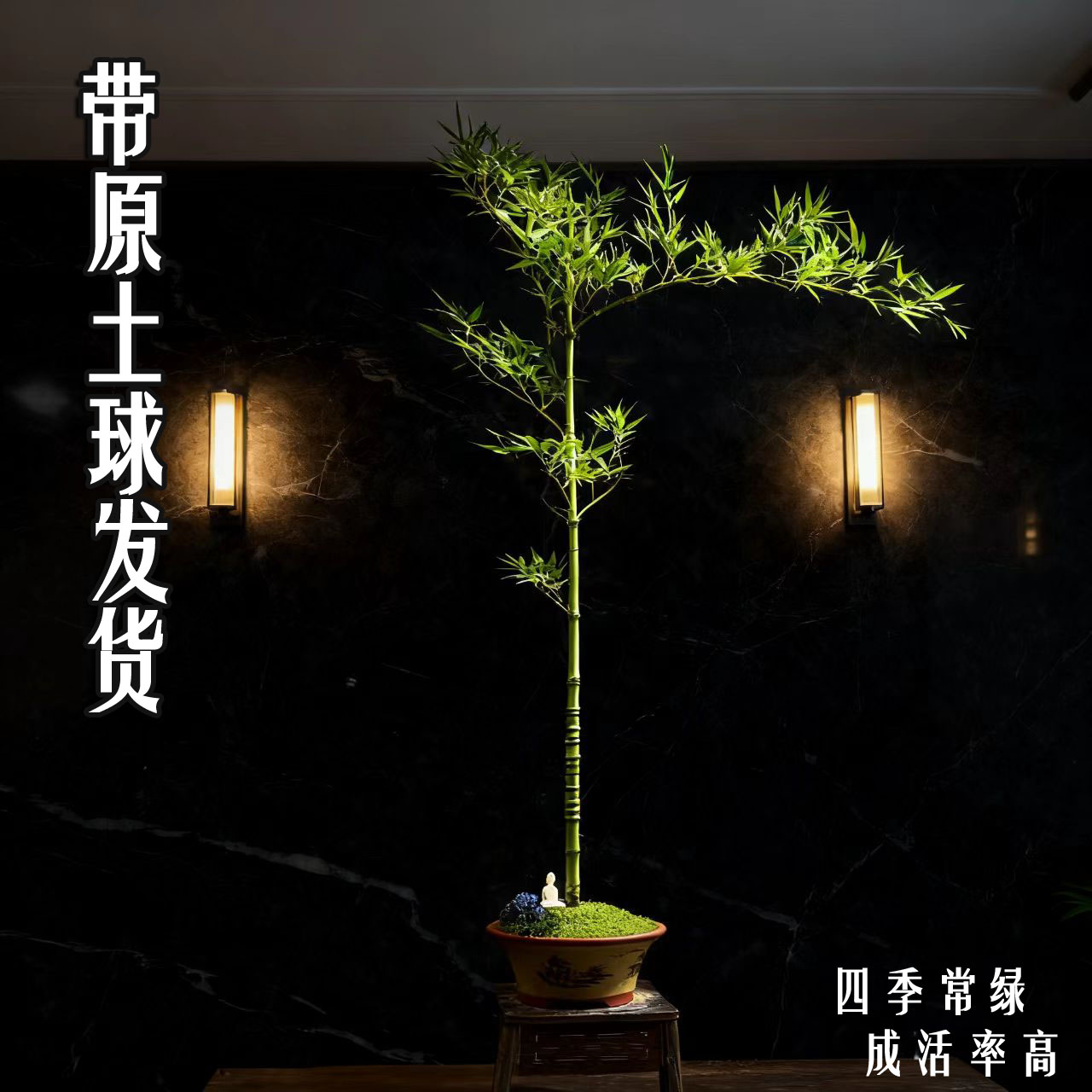 新茶室禅竹桌面意境竹