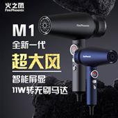 火之凤M1高速吹风机理发店专用发型师发廊大功率大风速干家用风筒