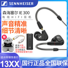 SENNHEISER/森海塞尔IE300入耳式高保真hifi手机ie600有线耳机