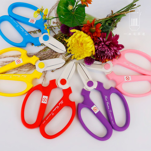 坂源日本进口枝剪园艺花店大嘴鸟