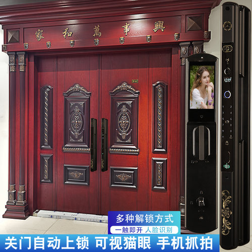 农村自建房大门智能锁加长防盗门