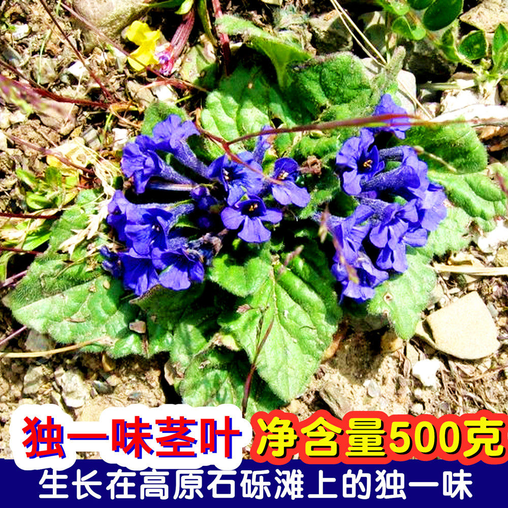 藏药独一味脱皮根茎叶西藏一枝支尕果拉蒿牙出血伤筋动骨调养药材