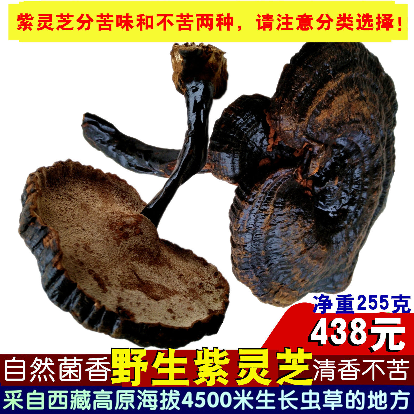 紫灵芝255g西藏野外生天然整枝紫芝非野蘑菇苦芝部分地区可发顺丰