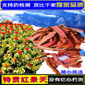 红景天500g西藏大花特贡鲜干小微片抗高反白肺养生泡茶喝可发顺丰