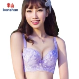 半山 Сексуальное нижнее белье, бюстгальтер пуш-ап, тонкий бюстгалтер, с вышивкой