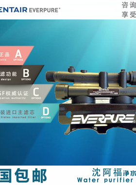 美国爱惠浦QC71Twin双联过滤机头通用所有型号净水器直饮水机滤芯