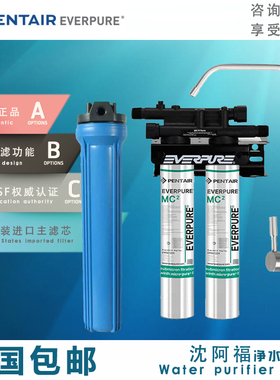 美国奶茶店大流量咖啡直饮水机