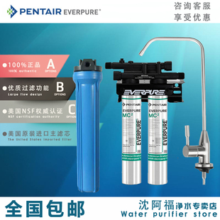 美国爱惠浦MC2净水器 商用双联奶茶店专用大流量直饮水机过滤咖啡