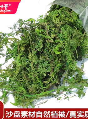 方寸景沙盘微缩仿真杂草灌木苔藓植物绿化干草水藻DIY地台枯草