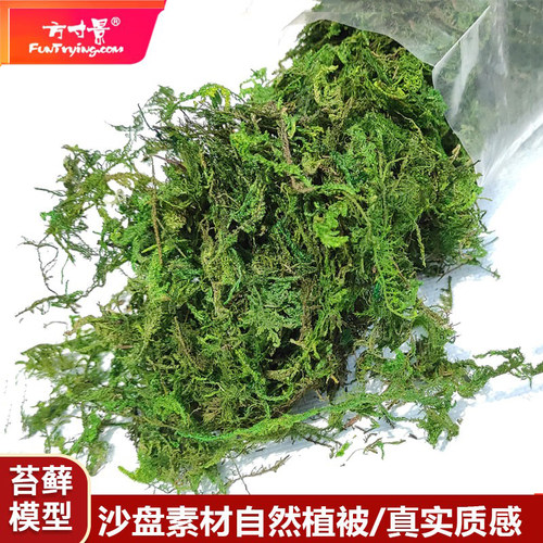 方寸景苔藓植物微缩仿真模型
