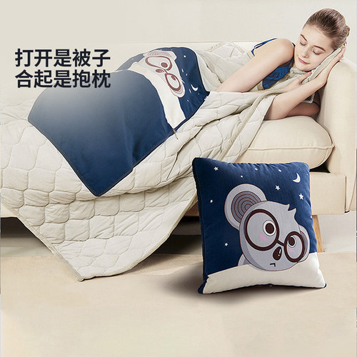 佳奥两用四季汽车载空调抱枕被子