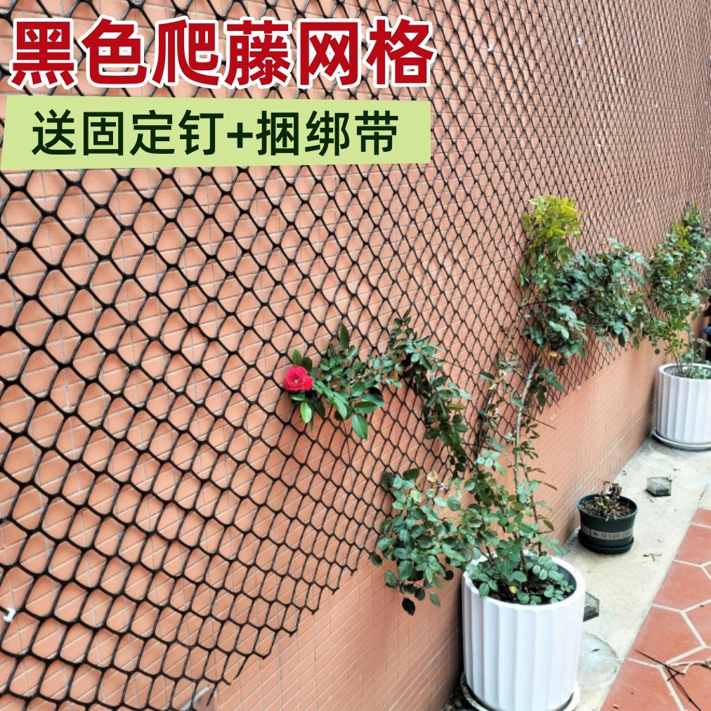 黑色爬藤网蔷薇月季爬藤塑胶网植物爬墙网格牵引网园艺爬藤网支架图片