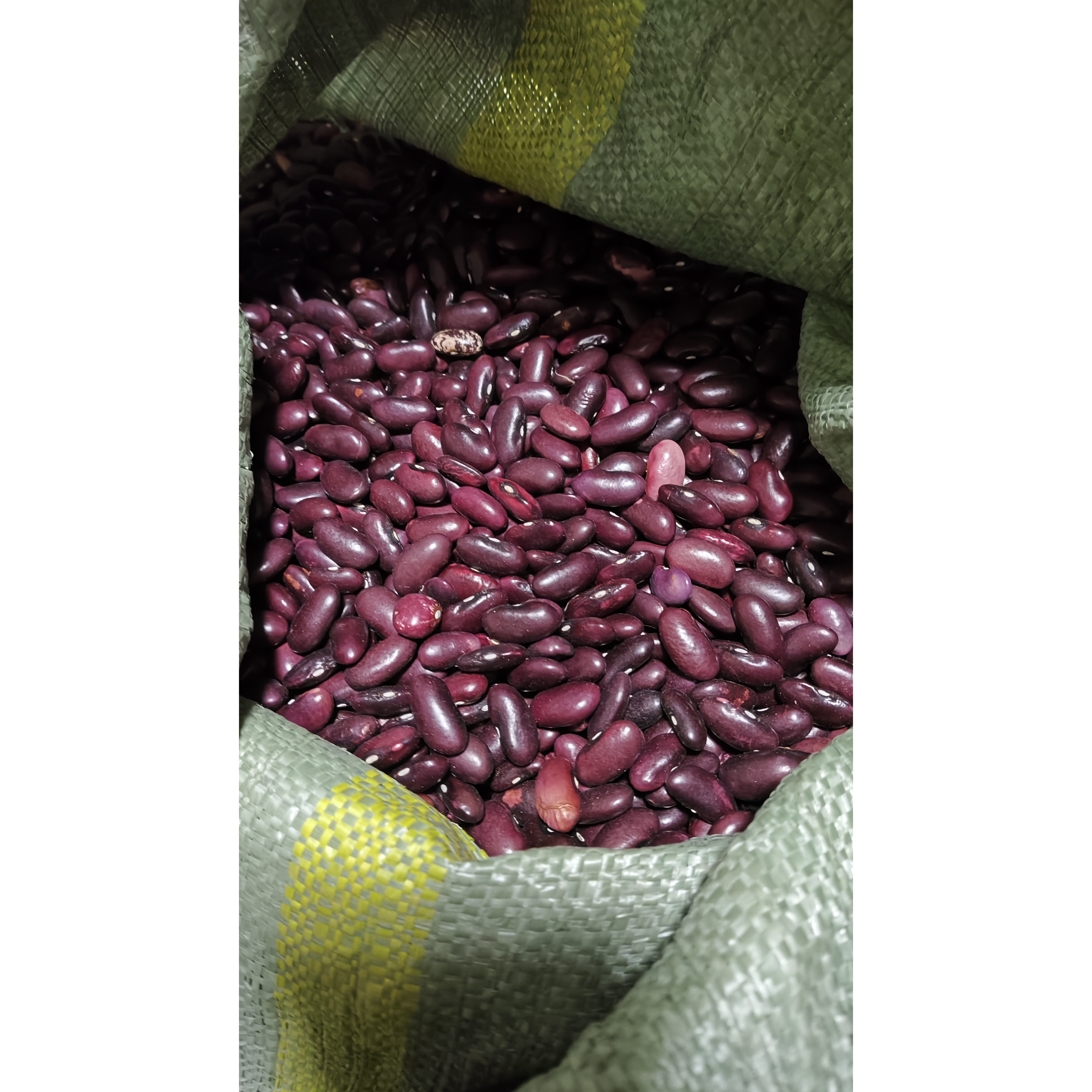 红芸豆云南2026当季红腰豆大粒农家自种大红馅料五谷杂粮煮粥煲汤