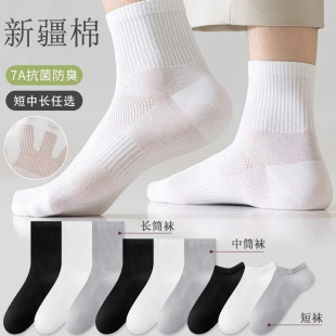 袜男女短中长筒纯色棉袜吸汗透气防臭白色运动袜子 新疆棉 四季