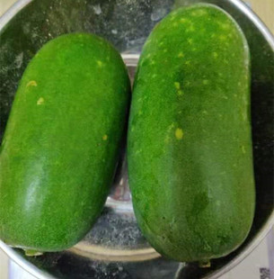 新鲜毛冬瓜  小节瓜 青皮冬瓜  小个头  京津冀满68包邮顺丰