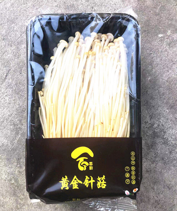 新鲜黄金针菇 菌菇 新鲜菌菇 京津冀满68包邮顺丰