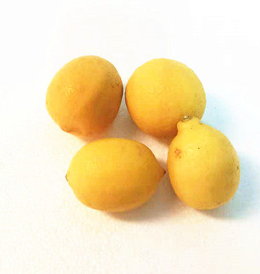 新鲜黄柠檬  柠檬  北京满68包邮顺丰 500g  特价商品