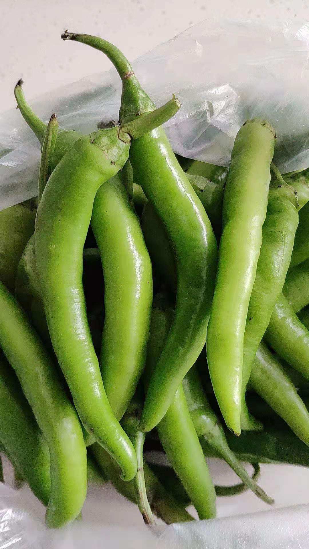 新鲜杭椒 绿杭椒 新鲜绿杭椒  500g 京津冀68包邮顺丰