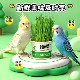 鹦鹉麦芽草粮大麦种子鹦鹉啃咬饲料鸟草盒零食促进消化解闷啄毛