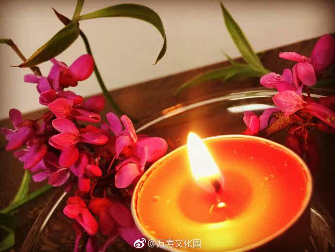 Bougie - Ref 2485541 Image 5